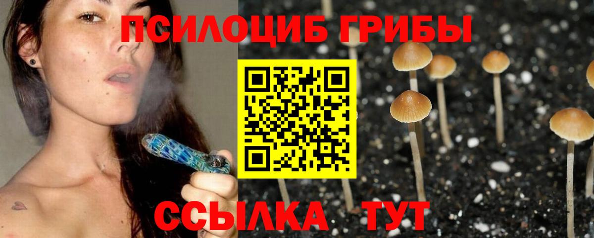 Галлюциногенные грибы прущие грибы  магазин продажи наркотиков  Гагарин  Вход с VPN 